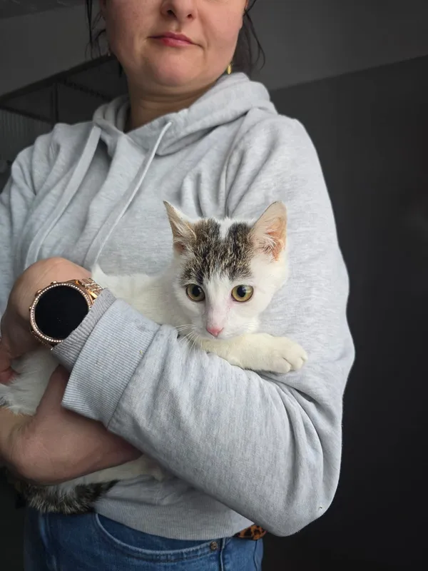 Pies do adopcji, Czartki, 12 stycznia 2026 (1/2)