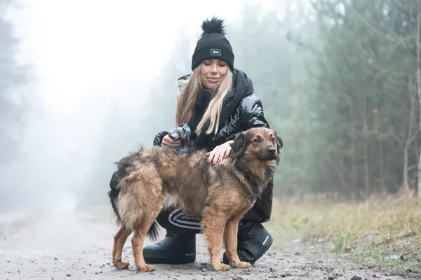 Pies do adopcji, Nowodwór, 13 stycznia 2026 (5/5)