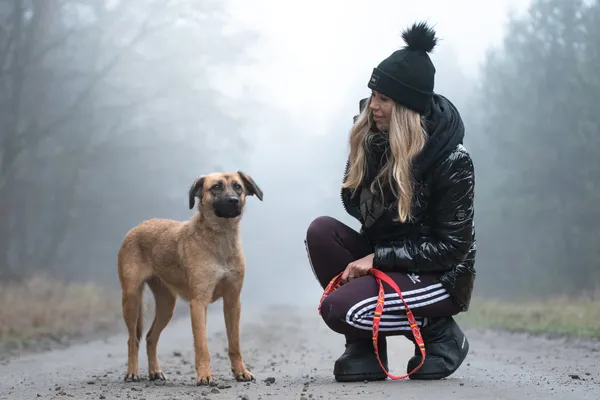 Pies do adopcji, Nowodwór, 13 stycznia 2026 (2/5)