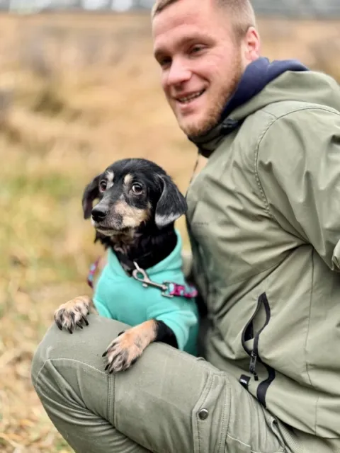 Pies do adopcji, Piła, 30 listopada 2025 (2/5)