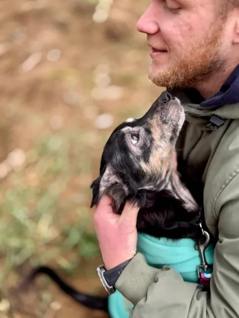 Pies do adopcji, Piła, 30 listopada 2025 (5/5)