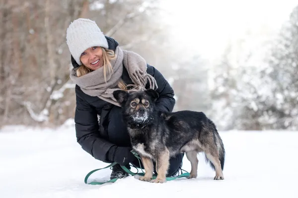 Pies do adopcji, Nowodwór, 19 stycznia 2026 (3/5)