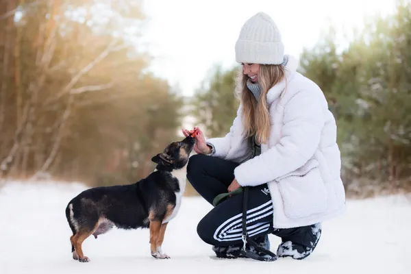 Pies do adopcji, Nowodwór, 18 stycznia 2026 (5/5)