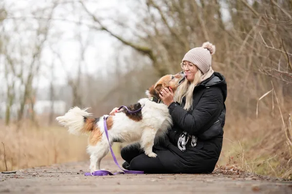Znaleziono psa, Sosnowiec, 13 stycznia 2026 (2/5)