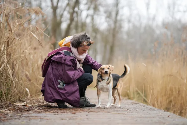 Znaleziono psa, Sosnowiec, 13 stycznia 2026 (3/5)