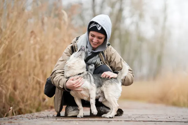 Znaleziono psa, Sosnowiec, 22 stycznia 2026 (1/5)