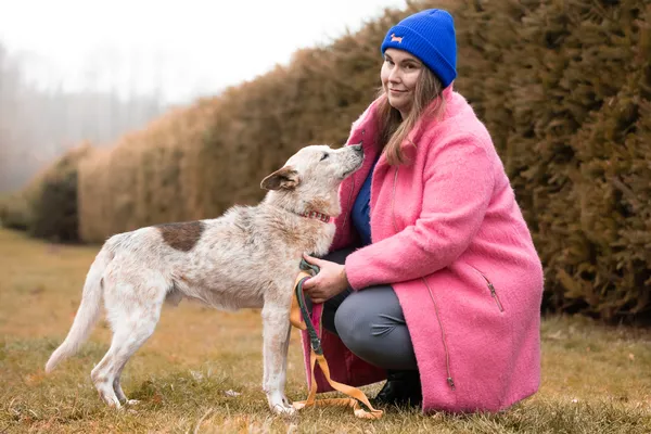 Pies do adopcji, Nowodwór, 25 stycznia 2026 (2/5)