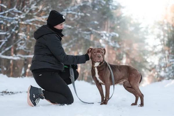 Pies do adopcji, Nowodwór, 1 lutego 2026 (2/5)