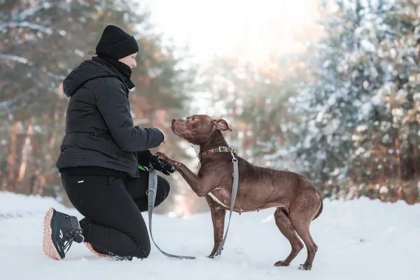 Pies do adopcji, Nowodwór, 1 lutego 2026 (4/5)