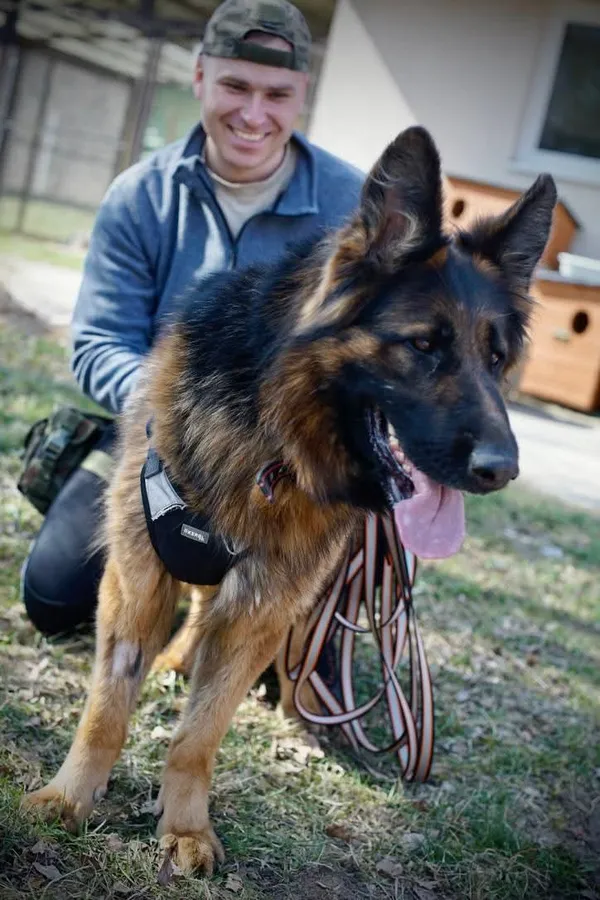 Pies do adopcji, Olsztyn, 10 sierpnia 2024 (2/4)