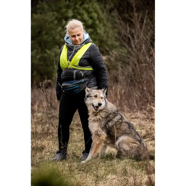 Znaleziono psa, Białystok, 5 lutego 2026 (3/5)