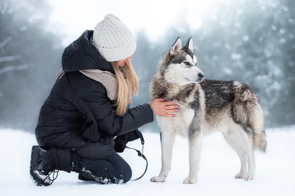 Pies do adopcji, Nowodwór, 8 lutego 2026 (3/5)