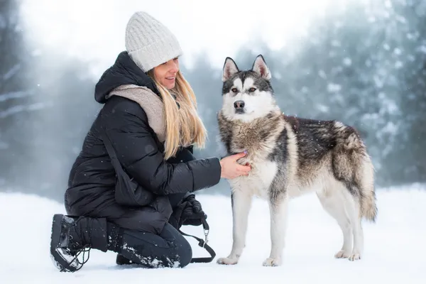 Pies do adopcji, Nowodwór, 8 lutego 2026 (4/5)