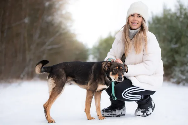 Pies do adopcji, Nowodwór, 8 lutego 2026 (2/5)