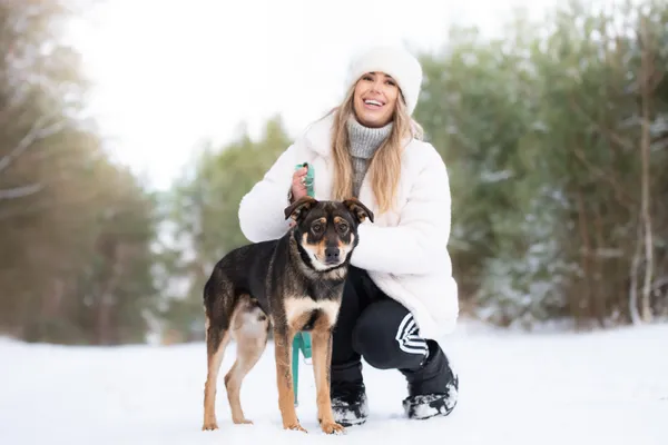 Pies do adopcji, Nowodwór, 8 lutego 2026 (5/5)