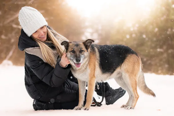 Pies do adopcji, Nowodwór, 8 lutego 2026 (2/5)