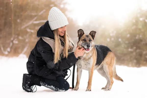 Pies do adopcji, Nowodwór, 8 lutego 2026 (3/5)