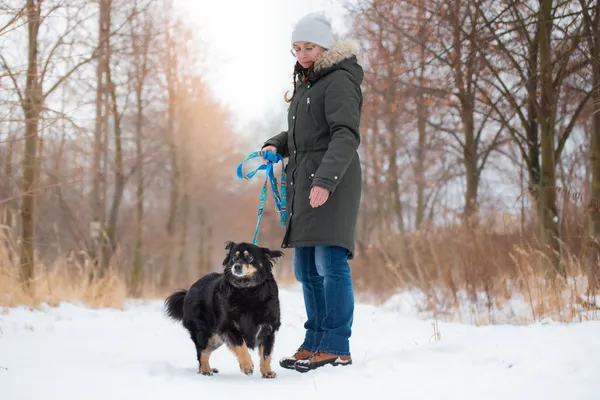 Pies do adopcji, Nowodwór, 9 lutego 2026 (2/5)