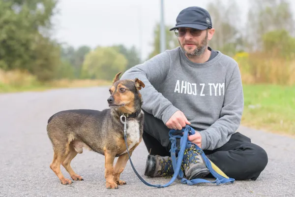 Pies do adopcji, Nowodwór, 10 lutego 2026 (5/5)