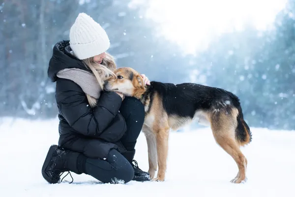 Pies do adopcji, Nowodwór, 9 lutego 2026 (1/5)