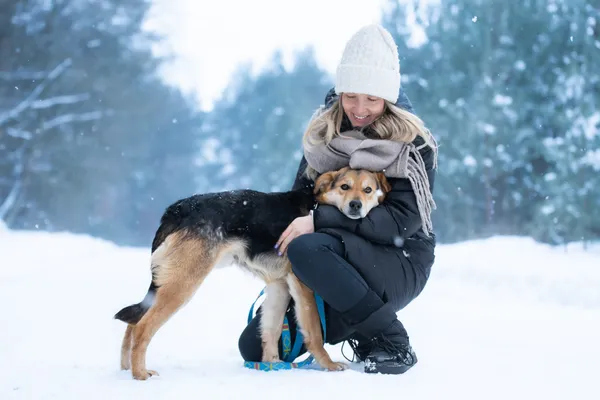 Pies do adopcji, Nowodwór, 9 lutego 2026 (2/5)