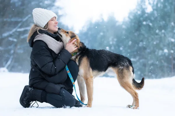 Pies do adopcji, Nowodwór, 9 lutego 2026 (5/5)