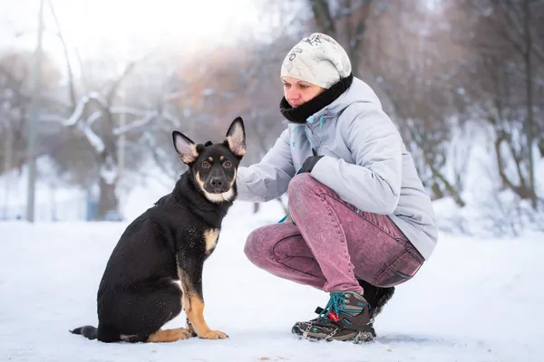 Pies do adopcji, Nowodwór, 12 lutego 2026 (4/5)