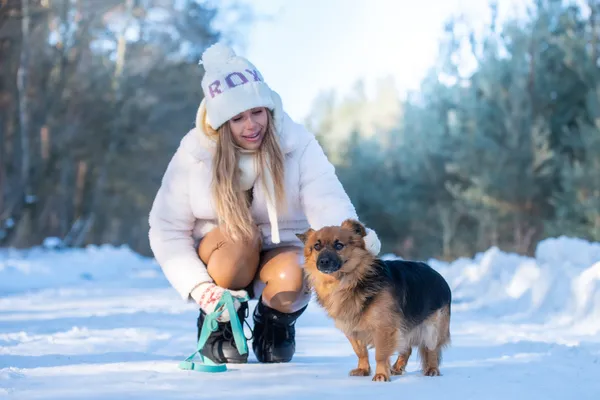 Pies do adopcji, Nowodwór, 15 lutego 2026 (2/5)