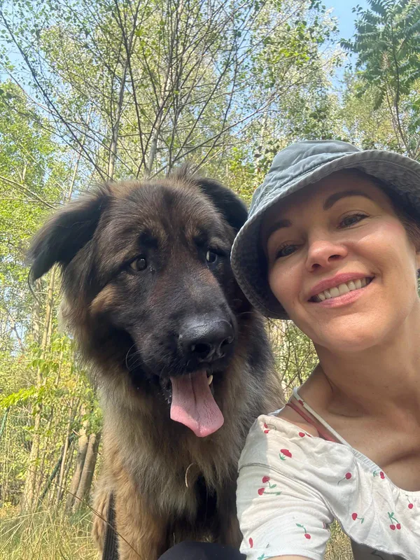 Pies do adopcji, Milanówek, 2 września 2025 (1/5)