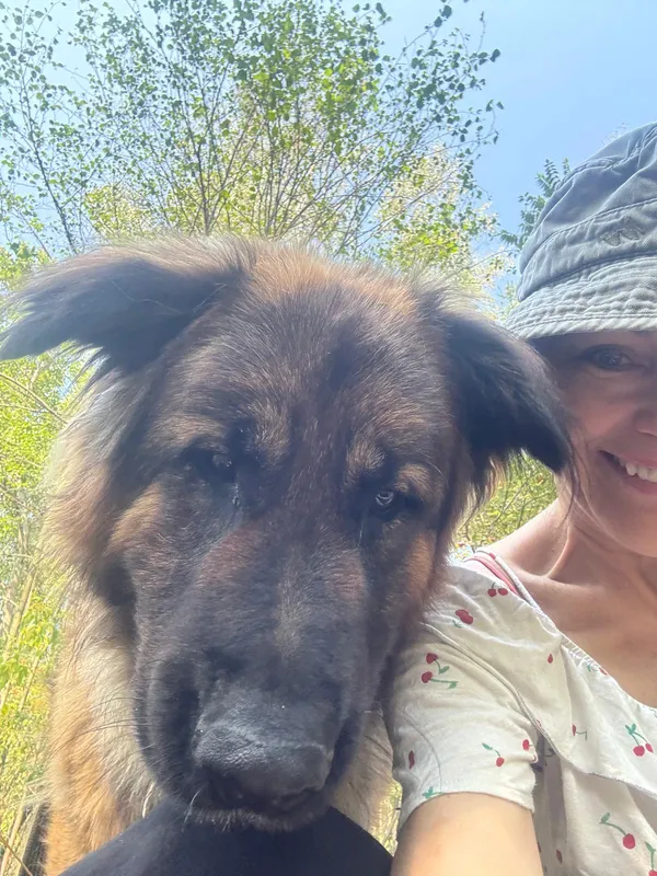 Pies do adopcji, Milanówek, 2 września 2025 (2/5)