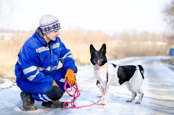 Oddam psa, Gdańsk, Maćkowy, 20 lutego 2026 (3/4)