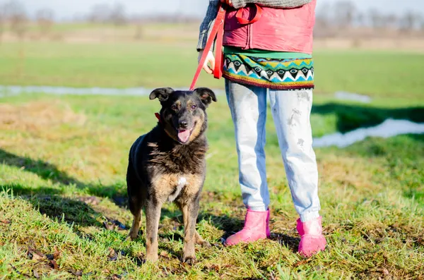 Oddam psa, Gdańsk, Stare Przedmieście, 21 lutego 2026 (2/4)