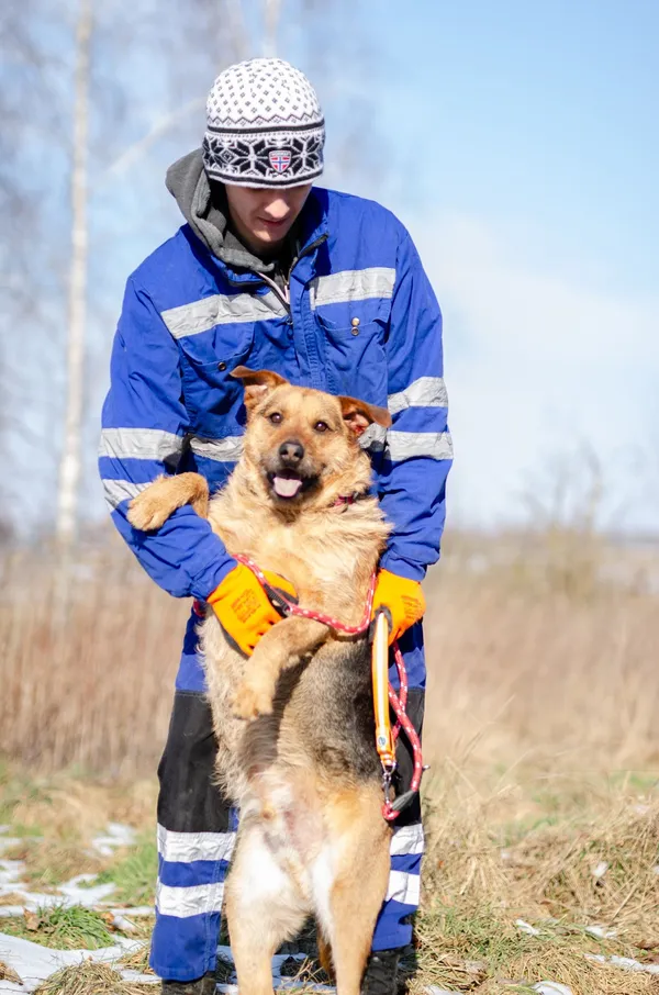 Oddam psa, Elbląg, Wyspa Spichrzów, 21 lutego 2026 (2/4)