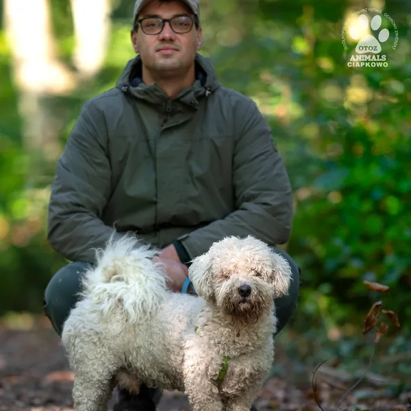 Pies do adopcji, Gdynia, 22 lutego 2026 (4/4)