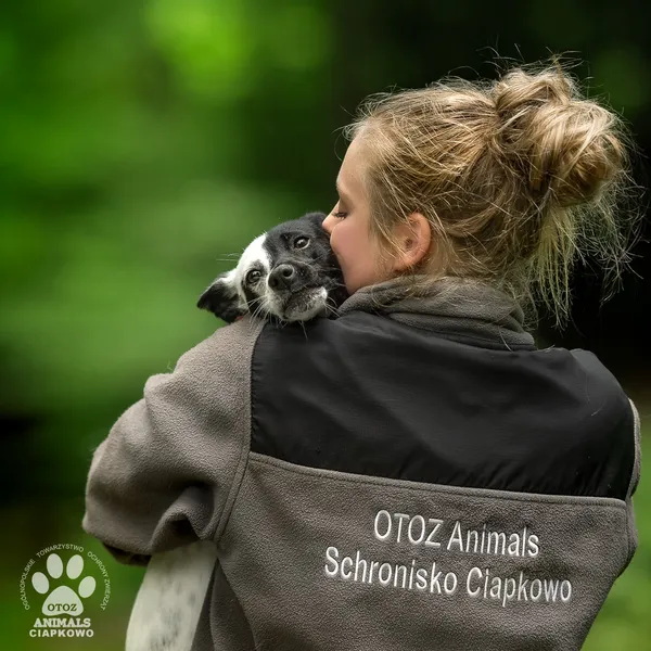 Pies do adopcji, Gdynia, 22 lutego 2026 (5/5)