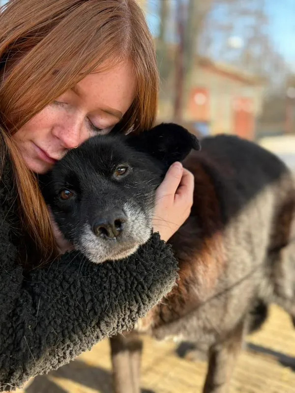 Oddam psa, Gdańsk, Kokoszki, 27 lutego 2026 (1/5)