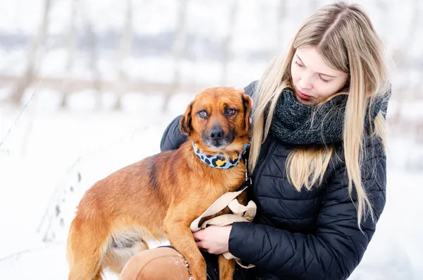 Oddam psa, Olsztyn, Dajtki, 8 marca 2026 (4/5)