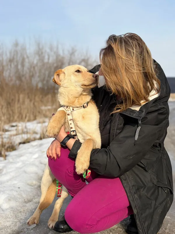 Oddam psa, Olsztyn, Pojezierze, 8 marca 2026 (2/4)