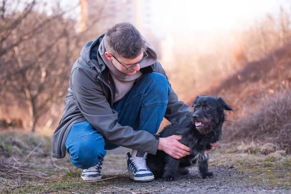 Pies do adopcji, Nowodwór, 22 marca 2026 (5/5)