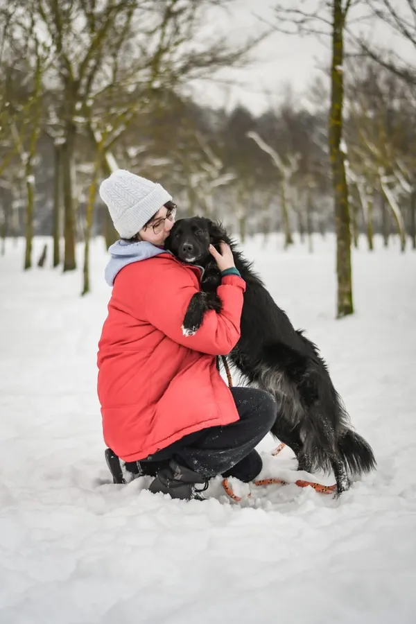 Pies do adopcji, Radom, 21 marca 2026 (4/5)