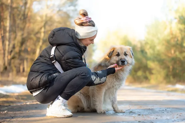 Pies do adopcji, Nowodwór, 25 marca 2026 (4/5)