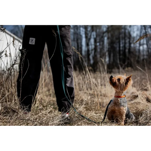 Znaleziono psa, Białystok, 6 marca 2026 (4/5)