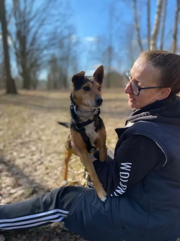 Pies do adopcji, Milanówek, 2 kwietnia 2026 (2/5)