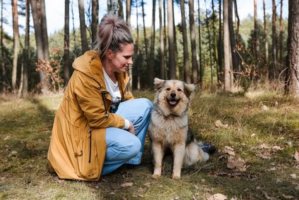 Pies do adopcji, Piła, 2 marca 2026 (3/4)