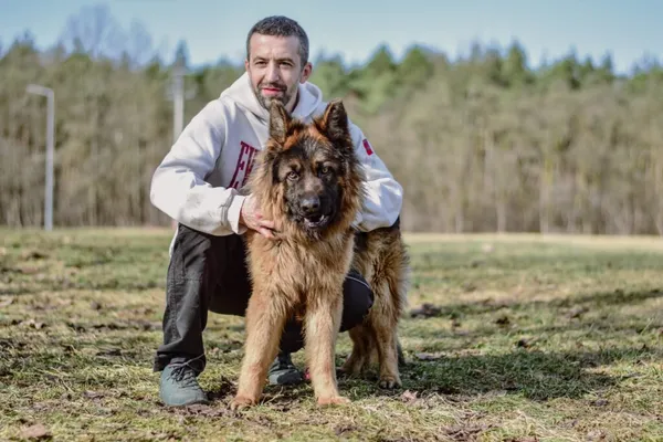 Pies do adopcji, Radom, 3 kwietnia 2026 (5/5)