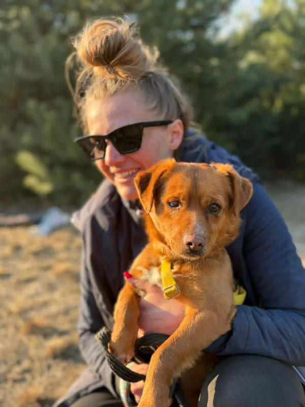 Oddam psa, Warszawa, Odolany, 4 kwietnia 2026 (1/3)