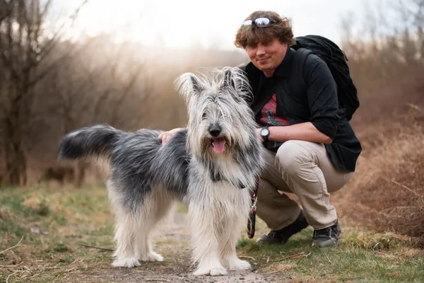 Pies do adopcji, Nowodwór, 6 kwietnia 2026 (3/5)