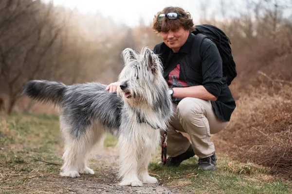 Pies do adopcji, Nowodwór, 6 kwietnia 2026 (4/5)