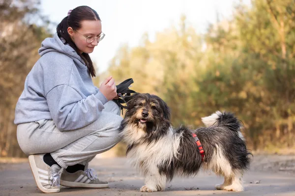 Pies do adopcji, Nowodwór, 7 kwietnia 2026 (4/5)