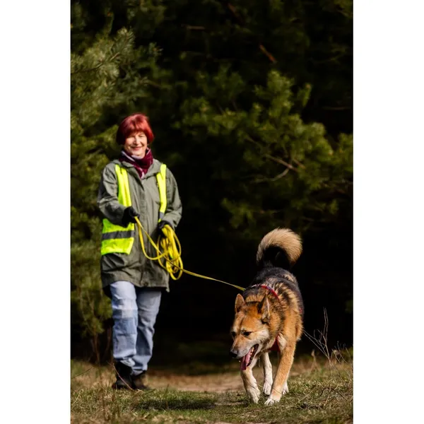 Znaleziono psa, Białystok, 28 lutego 2026 (4/5)